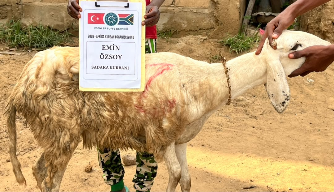 Vacip, Adak, Akika ve Şifa Kurbanı