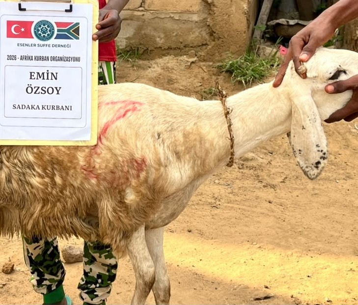 Vacip, Adak, Akika ve Şifa Kurbanı